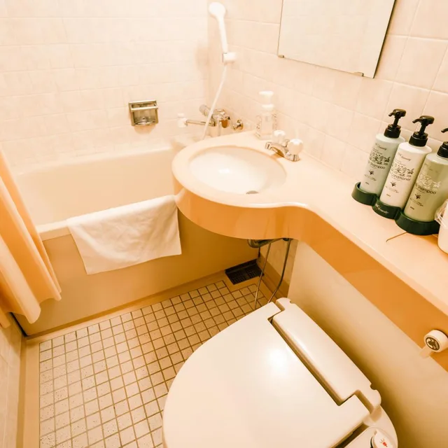 Economy, Twin Beds, Hotel Area One Takamatsu 3/3