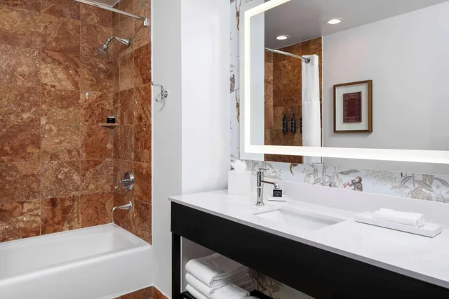 غرفة رئاسية مفردة بغرفة نوم واحدة، Hotel Theo New Orleans, Tapestry Collection by Hilton 4/5