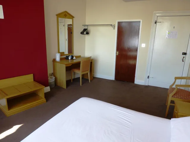 Standard, Single, OYO Esplanade Hotel 1/4