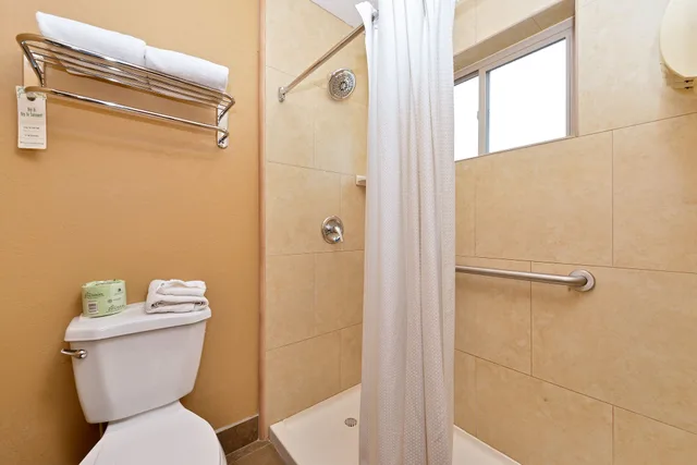 Standard, King Bed, Royal Sun Inn & Suites 6/9
