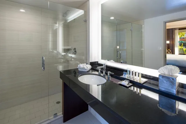 جناح بسرير كينج بغرفة نوم واحدة، Doubletree By Hilton Newark Fremont 3/3