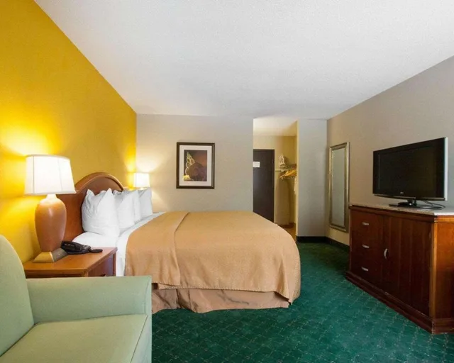غرفة بسرير كينج للمدخنين، Quality Inn Cairo I-57 1/2
