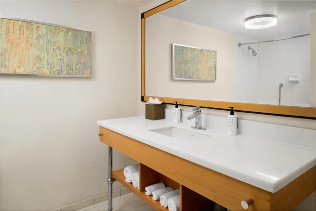 Deluxe, Double Bed, Hilton San Francisco Airport Bayfront 3/3