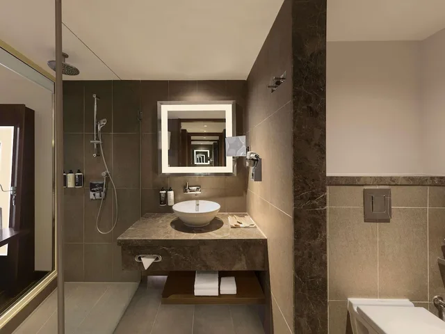 غرفة سوبيريور بسرير كينج بإطلالة على المسبح، Novotel New Delhi Aerocity 8/8
