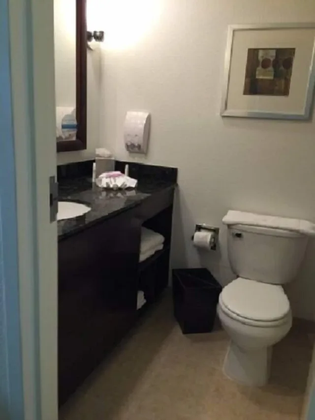 غرفة لذوي الإعاقة، DoubleTree by Hilton Napa Valley American Canyon 3/3