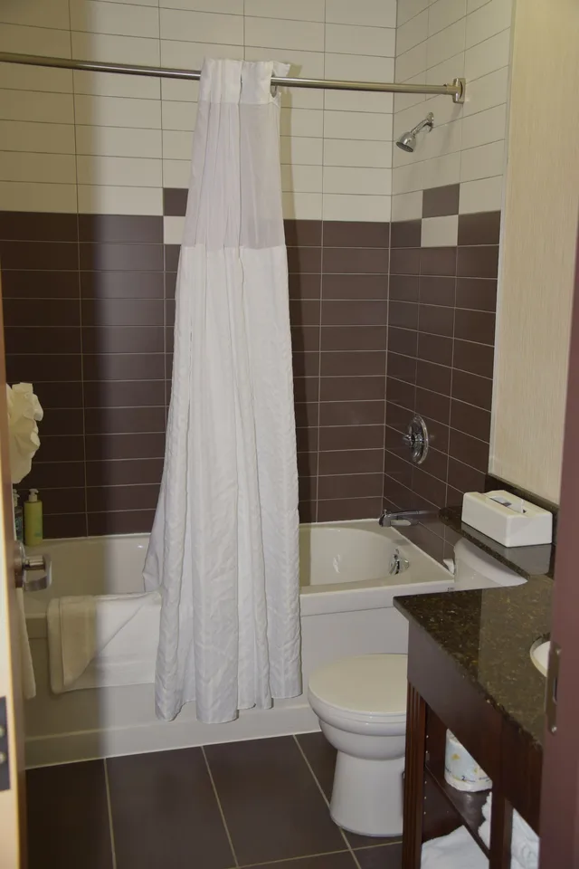 Coast, Premium, King Bed, Sofa، Coast Lethbridge Hotel and Conference Centre 6/6