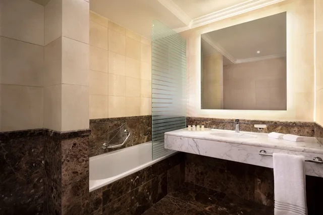Tower, Double Bed, Smoking، فندق وأبراج شيراتون الرياض(Sheraton Riyadh Hotel And Towers) 8/9