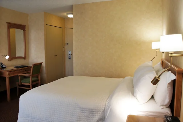 Comfort, Economy, Queen Bed, Bath and Shower, Sofa، Hotel Castel 5/7