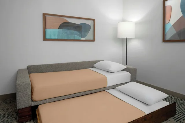 جناح بسرير كينج مع أريكة لذوي الإعاقة، SPRINGHILL SUITES IDAHO FALLS 6/9