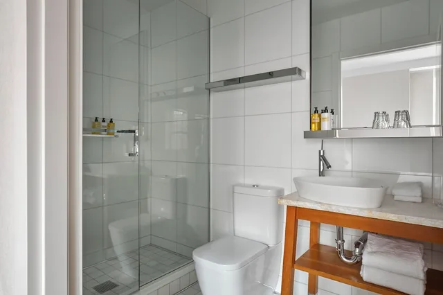 Deluxe, Studio, King Bed, Accessible, Hotel Park Ave 3/6