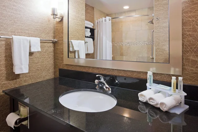 Standard, King Bed, Accessible, Holiday Inn Express Hotel Suites Rochester 2/4