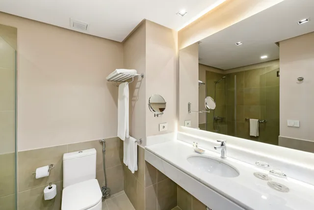 غرفة بسرير كينج، Palmaroga Hotel Asuncion, Tapestry Collection by Hilton 4/4