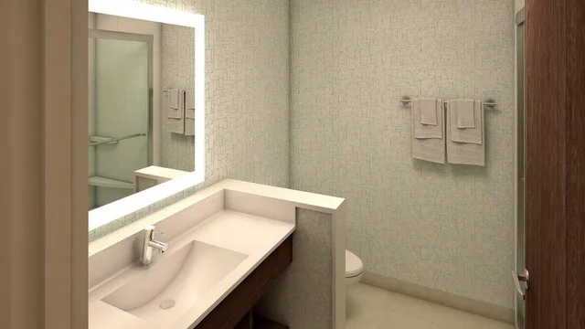 جناح بسريرين مزدوجين لذوي الإعاقة، Holiday Inn Express Spring Hill 4/4