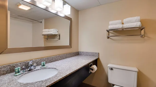 Room, King Bed, Parkway View, Pool Access، Best Western Plaza Inn 5/6