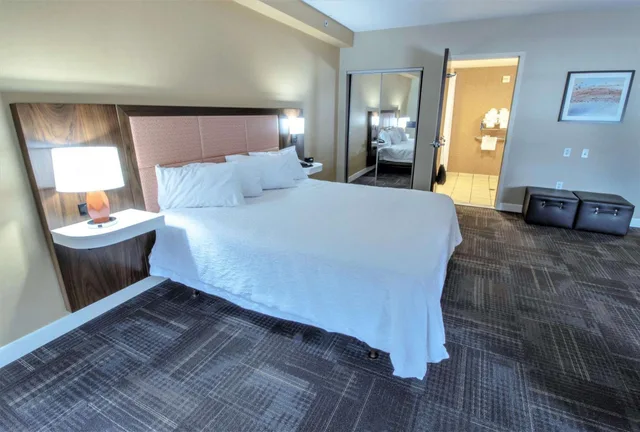 Studio, King Bed, Sofa, Accessible, Hampton Inn Suites Chesapeake Battlefield Boulevard 2/4