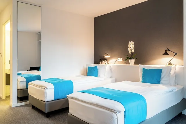 غرفة سوبيريور، Hotel De La Source 1/3