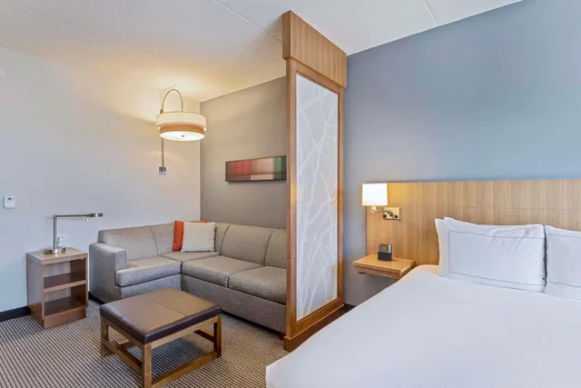 غرفة بسرير كينج بإطلالة على الجبل مع أريكة، Doubletree By Hilton Asheville Downtown 3/8