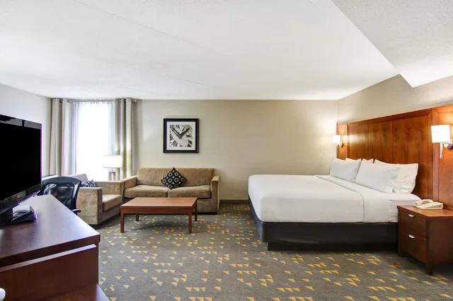 جناح بسرير كينج مع أريكة بمنطقة جلوس، Holiday Inn Oakville Centre 2/6