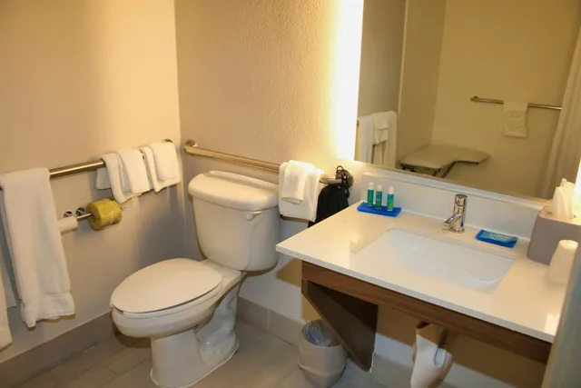 غرفة تنفيذية بسرير كينج لذوي الإعاقة، Holiday Inn Express Hotel And Suites Douglas 6/9