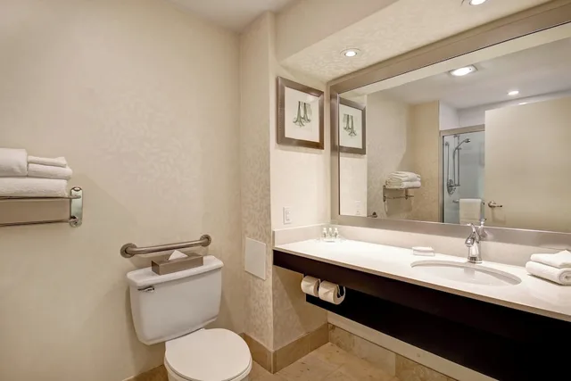 Standard, Queen Bed, Accessible, Holiday Inn Suites Windsor Ambassador Bridge 6/6