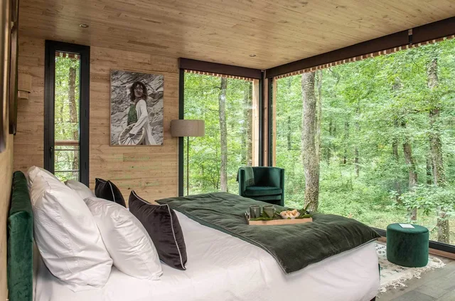 Design, Tara, Suite, King Bed, Hot Tub، LOIRE VALLEY LODGES - HOTEL 1/2
