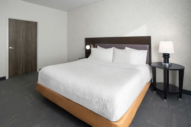 جناح بسرير كينج لذوي الإعاقة، Home2 Suites By Hilton Meridian 3/5