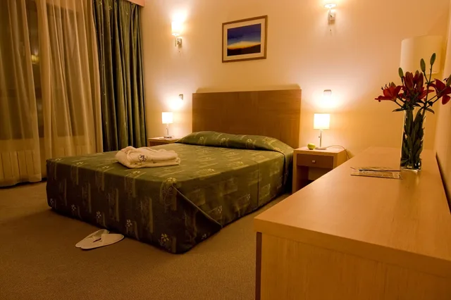 غرفة فاخرة بسريرين منفصلين، Vitosha Park Hotel 5/9