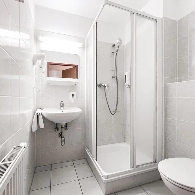 غرفة قياسية مفردة، Lenas Donau Hotel 8/8