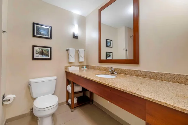 Suite, King Bed, Accessible, Comfort Suites Elizabethtown 3/3