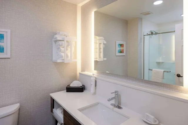 جناح بسرير كينج لغير المدخنين، Hampton Inn Alpharetta Roswell Ga 7/8