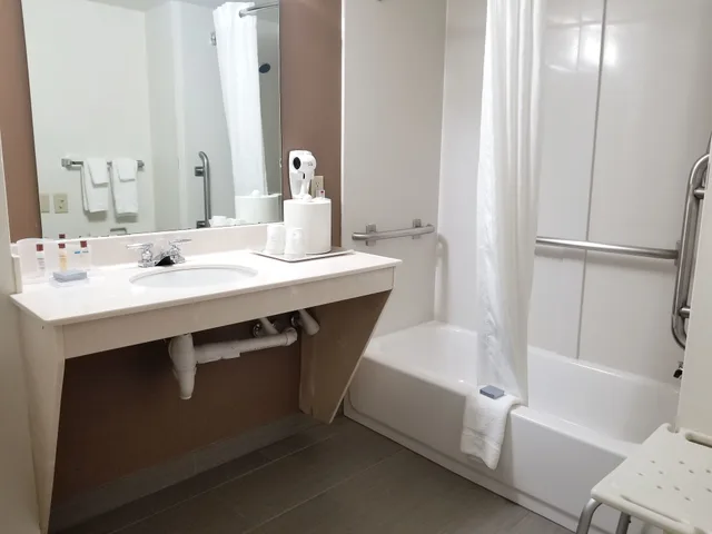 غرفة قياسية بسرير كينج لذوي الإعاقة، Wingate By Wyndham Raleigh Durham Airport 4/6