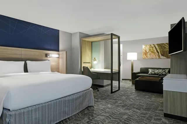 جناح، SpringHill Suites by Marriott Palm Desert 2/9