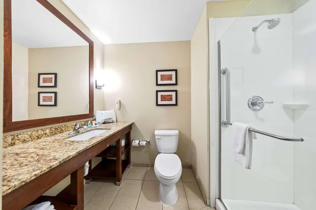 جناح بسرير كينج، Comfort Inn & Suites West - Medical Center 4/4