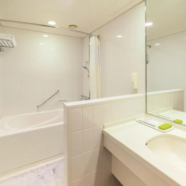 غرفة مفردة، Hilton Fukuoka Sea Hawk 7/8