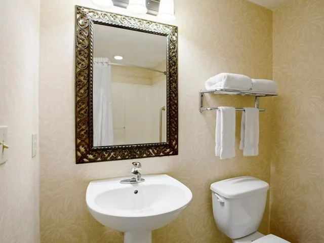 غرفة بريميوم بسرير كينج، Holiday Inn & Suites Clearwater Beach S-harbourside 3/5