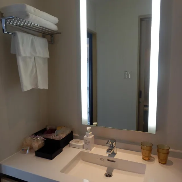 غرفة قياسية لذوي الإعاقة، Kanazawa Sainoniwa Hotel 4/4