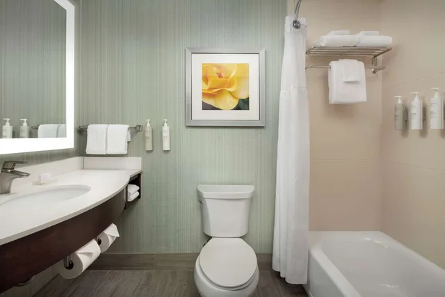 Room, 2 Queen Beds, Allergy Friendly، Hilton Garden Inn Murfreesboro 3/4