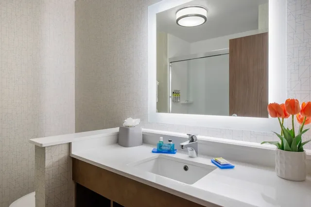 غرفة قياسية بسرير فردي، Holiday Inn Express & Suites Ruskin - Sun City 6/8