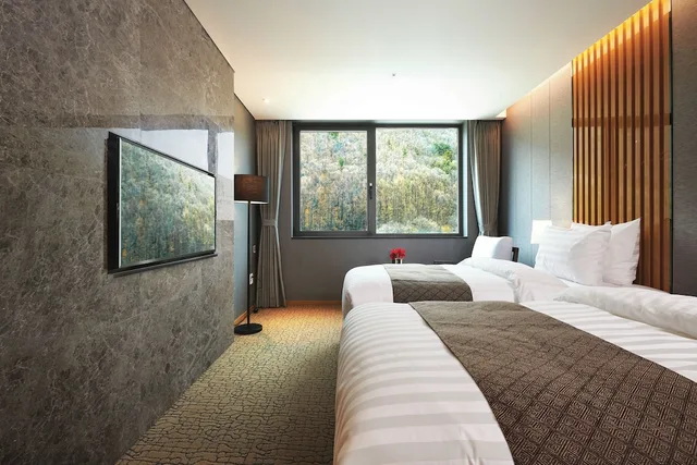 غرفة ديلوكس بسريرين منفصلين، Traum Valley Hotel (ex. Jeongseon Grand Intoraon Hotel) 1/6