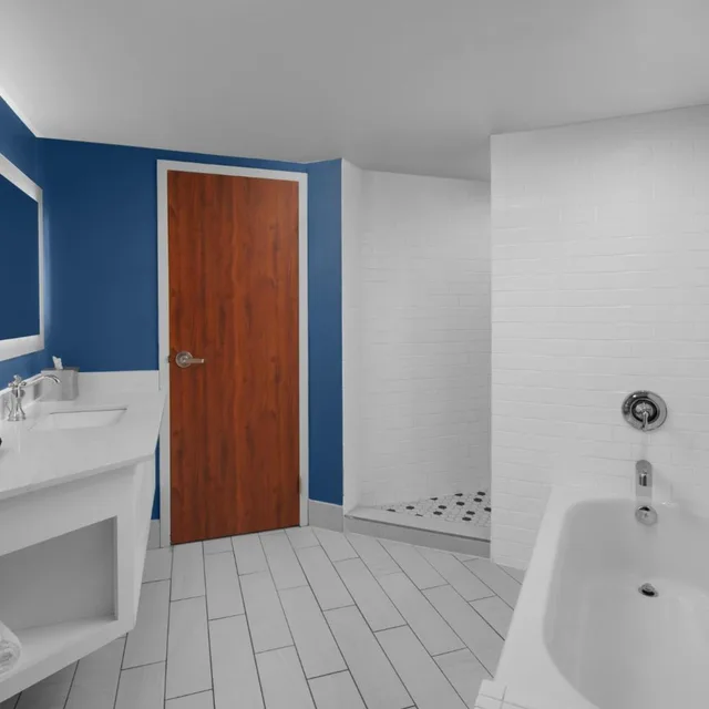 جناح ديلوكس بسرير كينج، Hotel Indigo Mount Pleasant 1/1