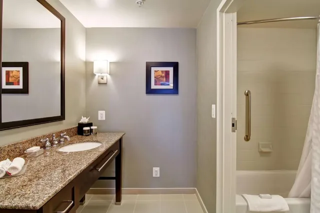 جناح بسرير كينج مع أريكة لذوي الإعاقة، Homewood Suites By Hilton Woodbridge 1/1