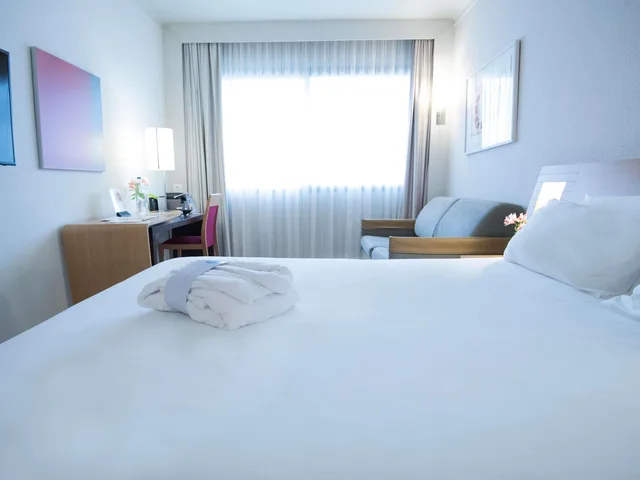 غرفة تنفيذية عائلية بسرير مزدوج مع أريكة، Novotel Athenes 6/10