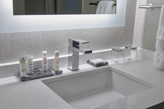 Room, King or Double Bed, Concierge Level، Detroit Marriott Troy 3/3