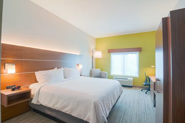 غرفة قياسية بسرير كينج، Holiday Inn Express Hotel Suites Tampa Usf Busch Gardens 7/9