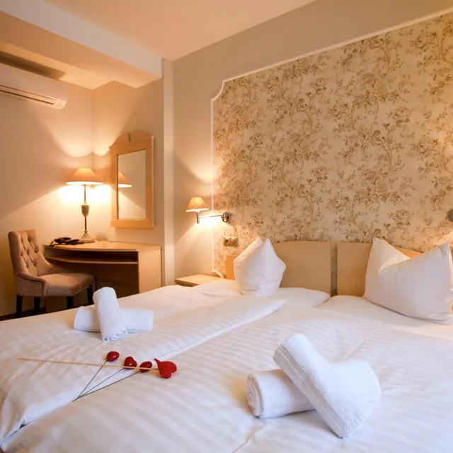 غرفة بسرير مزدوج، Wellness And Spa Hotel Ambiente 1/10