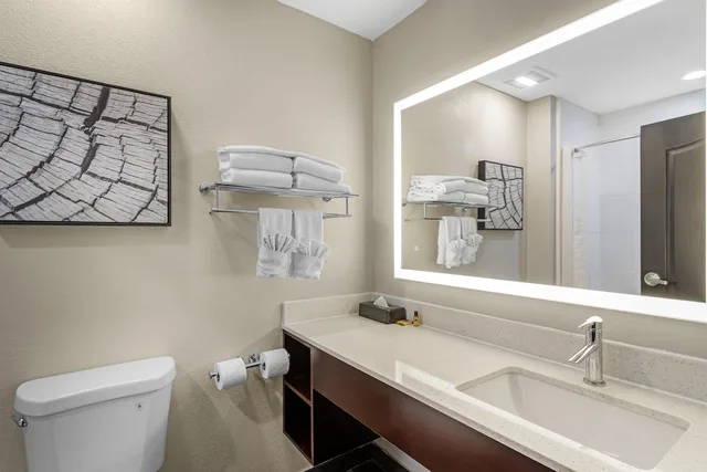 جناح بسرير كينج مع أريكة لذوي الإعاقة، Best Western Plus Bay City Inn & Suites 4/4