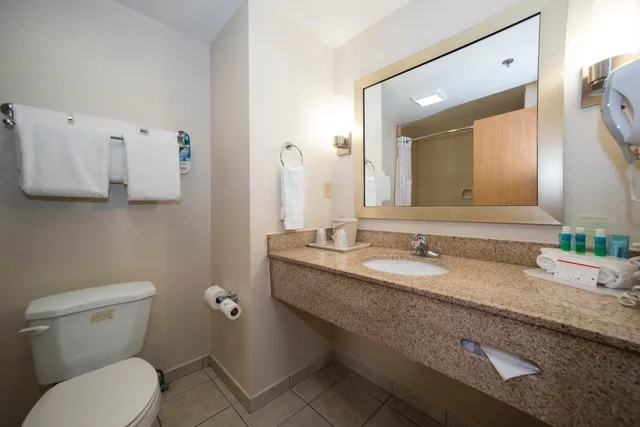 جناح بسرير كينج مع أريكة، Holiday Inn Express Hotel & Suites Vicksburg 2/3