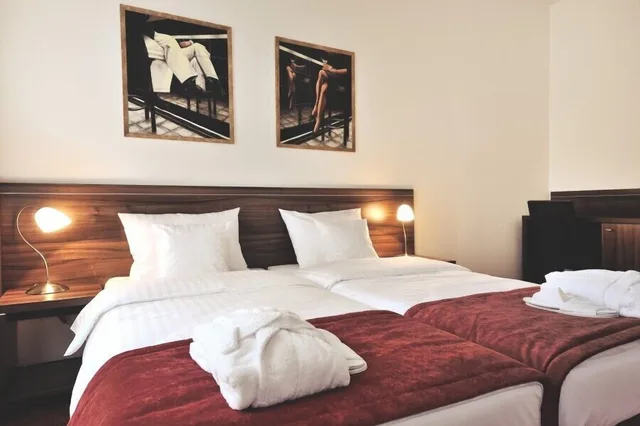 Deluxe, Hotel Centrum Sosnowiec 4/9