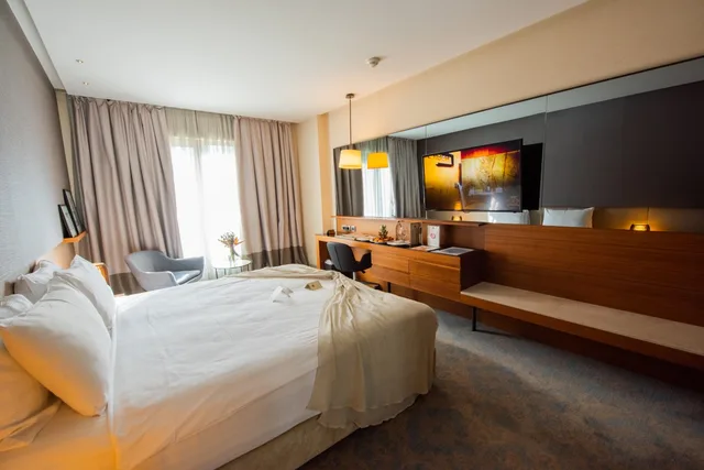 غرفة قياسية بسرير مزدوج، Dosso Dossi Hotels and SPA Downtown 1/6