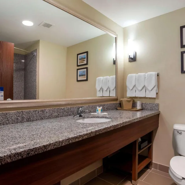 جناح بسرير كينج مع أريكة، Comfort Suites Foley - North Gulf Shores 9/9